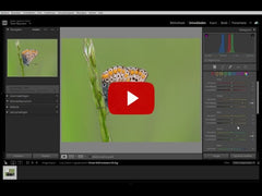 Natuurfotografie in Lightroom