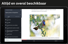 90 dagen Zoom Academy Pro