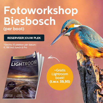 Fotoworkshop per boot in de Biesbosch