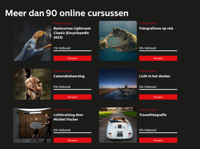 Zoom Academy Pro-jaarabonnement