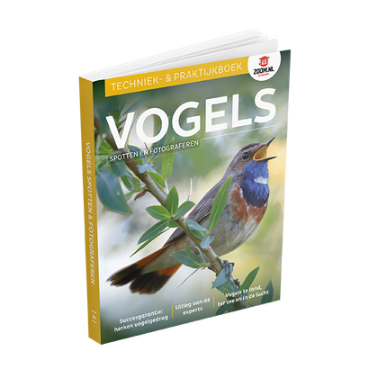 Vogels spotten en fotograferen
