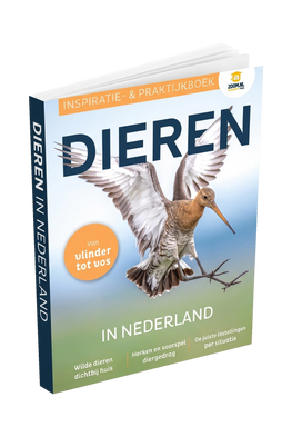 Dieren in Nederland (pre-order)