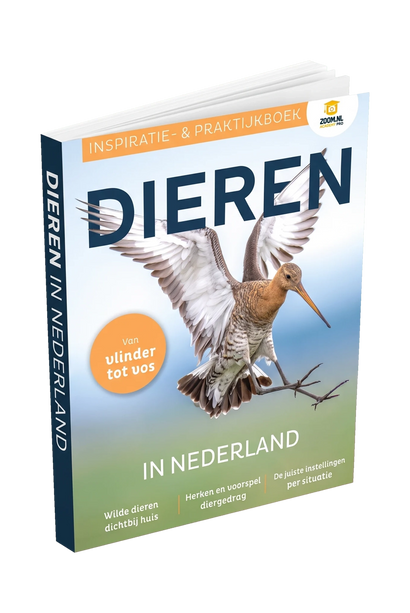 Dieren in Nederland (pre-order)