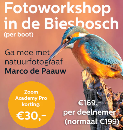 Fotoworkshop per boot in de Biesbosch